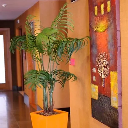 Hotel Fly 3*